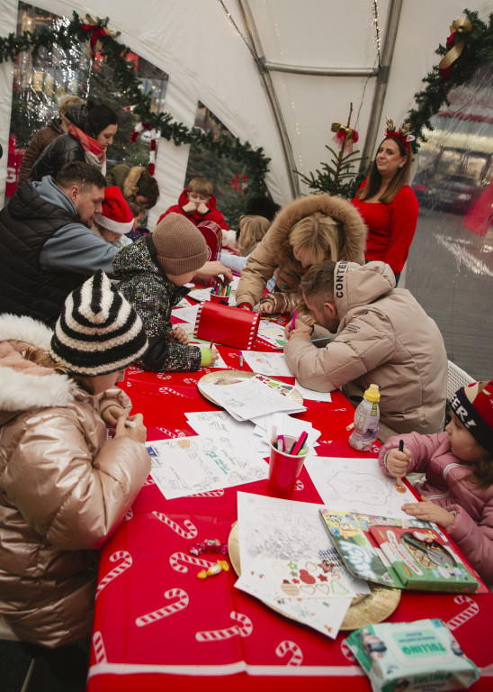 Warsztaty kreatywne i spotkania z alpakami w BIG Ostróda