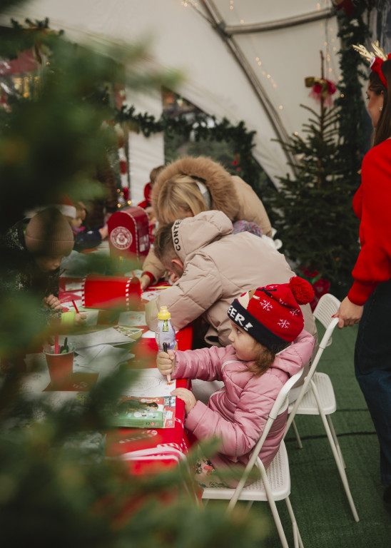 Warsztaty kreatywne i spotkania z alpakami w BIG Ostróda