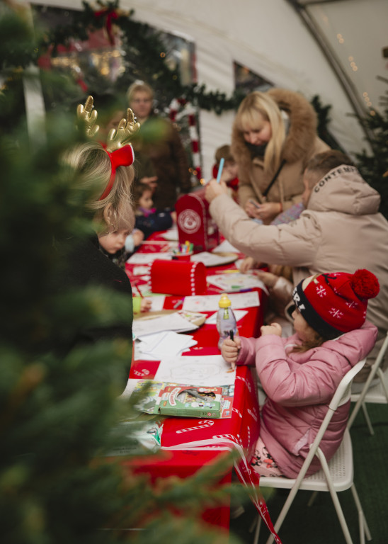 Warsztaty kreatywne i spotkania z alpakami w BIG Ostróda