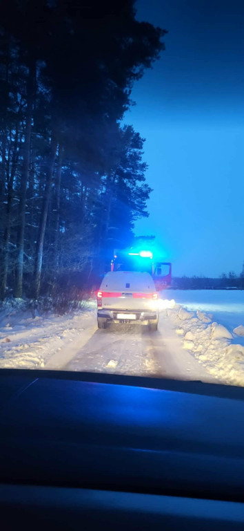  Sunia ze szczeniakami uratowana z lisiej nory