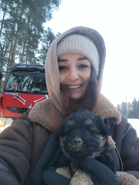  Sunia ze szczeniakami uratowana z lisiej nory