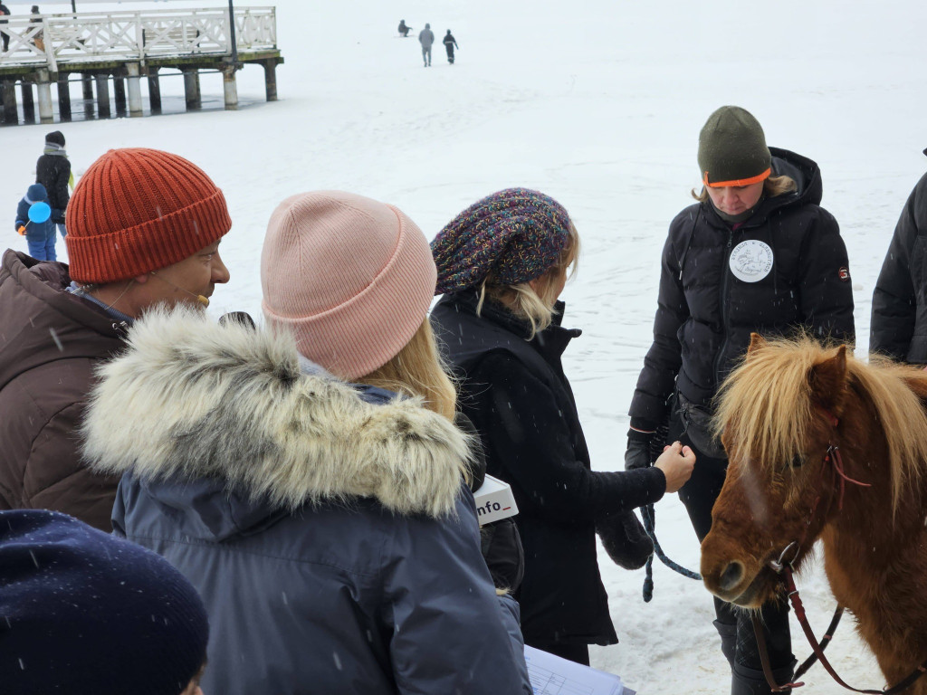 Ostróda: Zimolo na molo rozgrzało Ostródzian