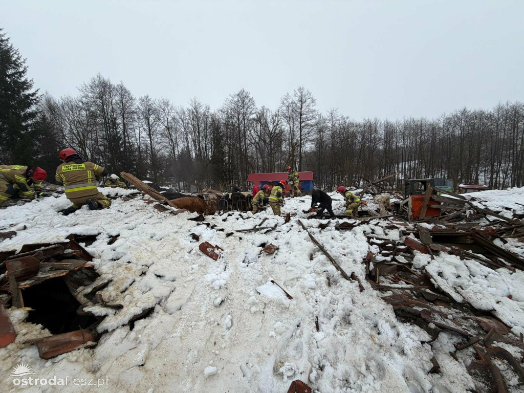 Leśmiady: Zawaliła się stodoła z bydłem w środku
