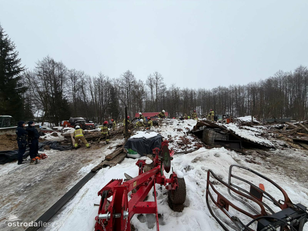 Leśmiady: Zawaliła się stodoła z bydłem w środku