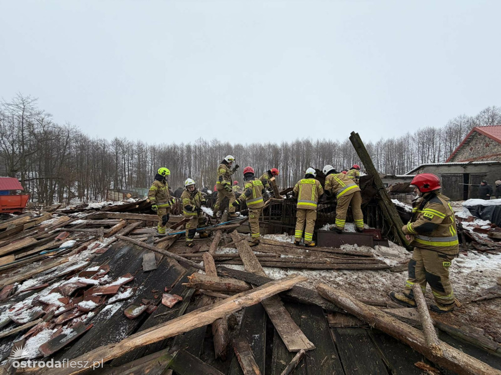 Leśmiady: Zawaliła się stodoła z bydłem w środku