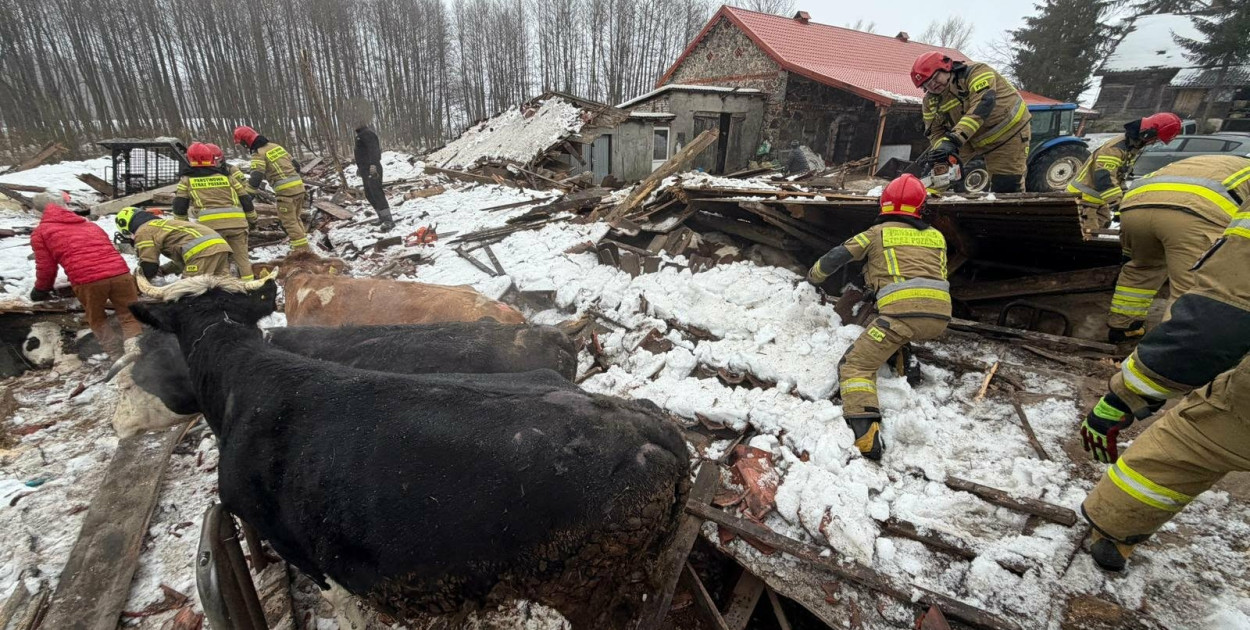 Leśmiady: Zawaliła się stodoła z bydłem w środku