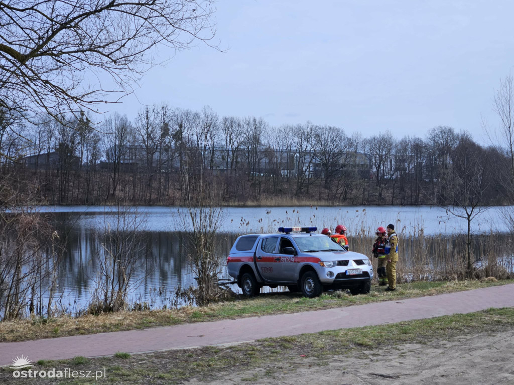 Poszukiwania zaginionego Tomasza Wańkowicza