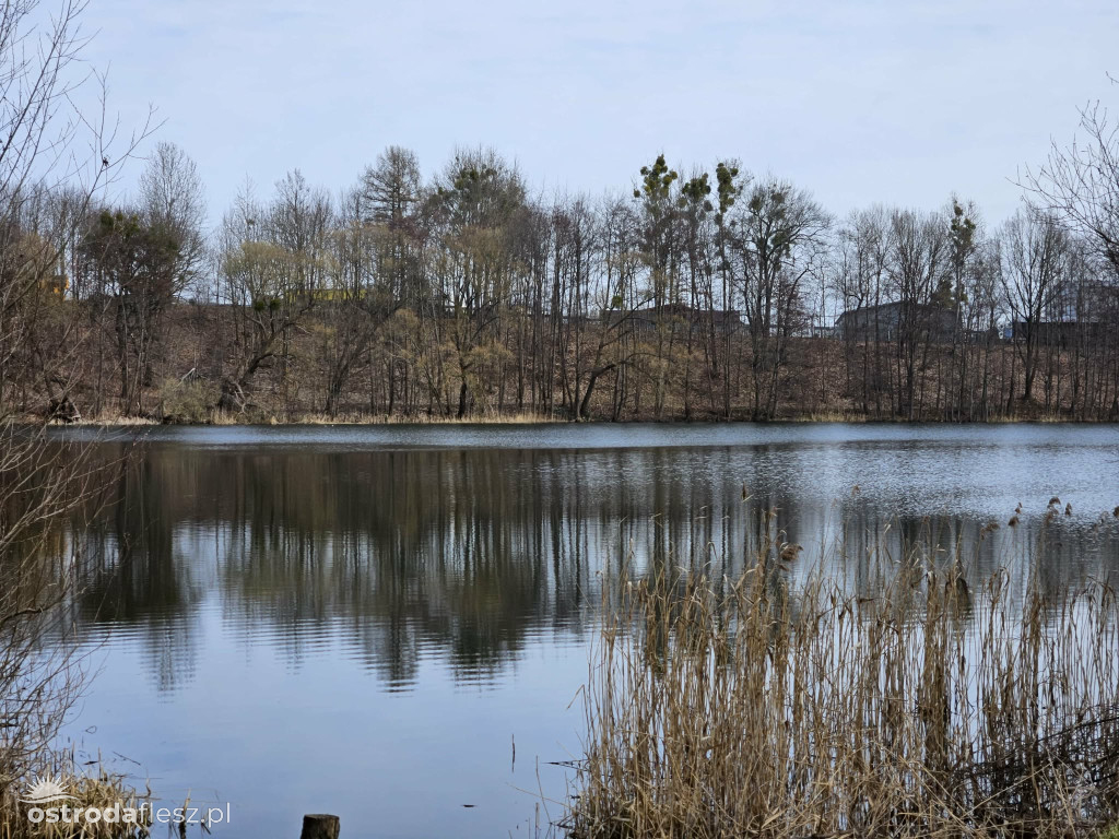 Poszukiwania zaginionego Tomasza Wańkowicza