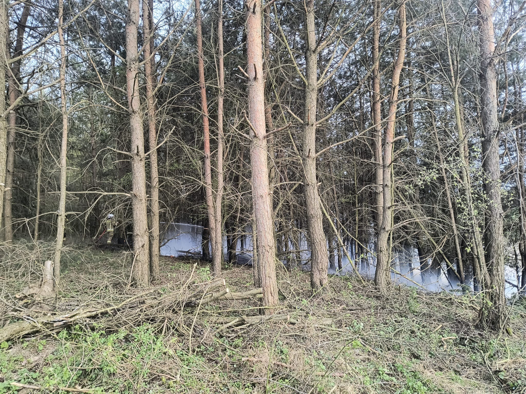 Pożar młodnika w gm. Dąbrówno