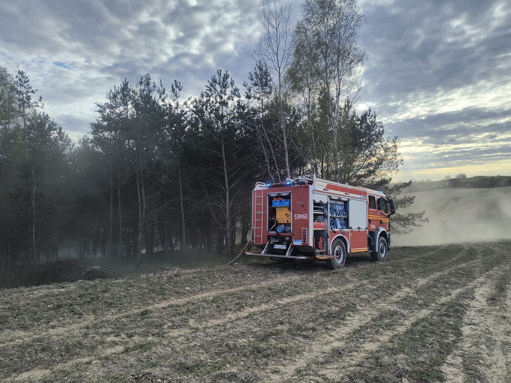 Pożar młodnika w gm. Dąbrówno