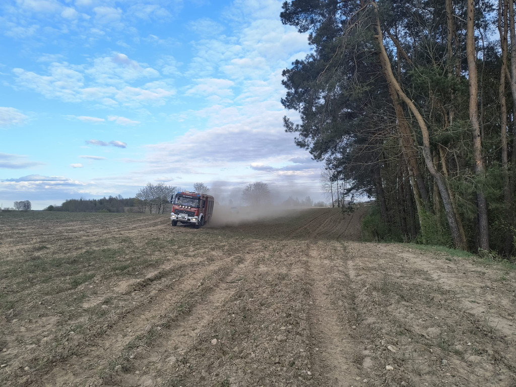 Pożar młodnika w gm. Dąbrówno