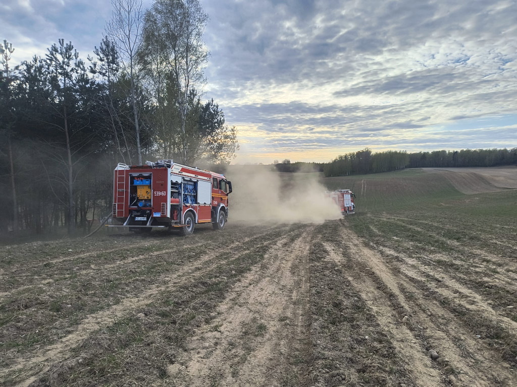 Pożar młodnika w gm. Dąbrówno