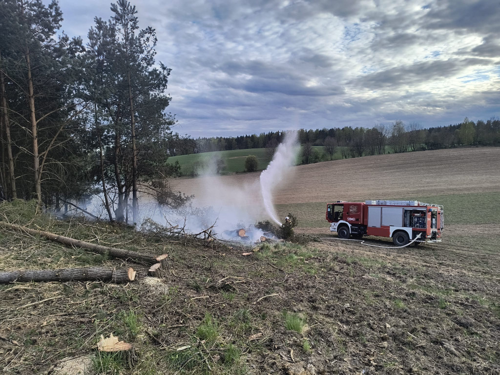 Pożar młodnika w gm. Dąbrówno