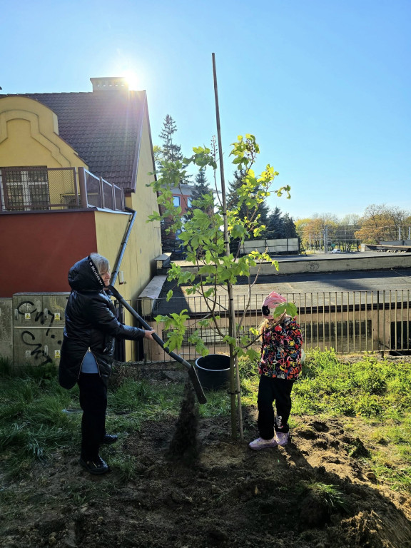 Ostróda uczciła Łukasza Litewkę w Ogrodzie Różanym