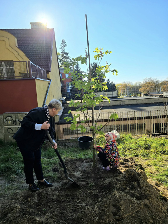 Ostróda uczciła Łukasza Litewkę w Ogrodzie Różanym