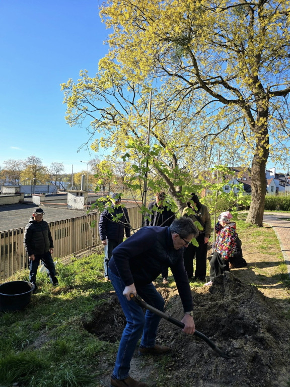 Ostróda uczciła Łukasza Litewkę w Ogrodzie Różanym