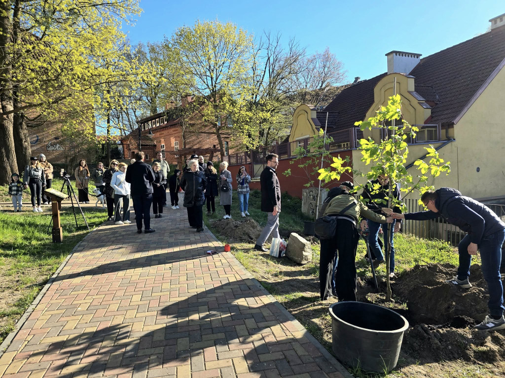 Ostróda uczciła Łukasza Litewkę w Ogrodzie Różanym