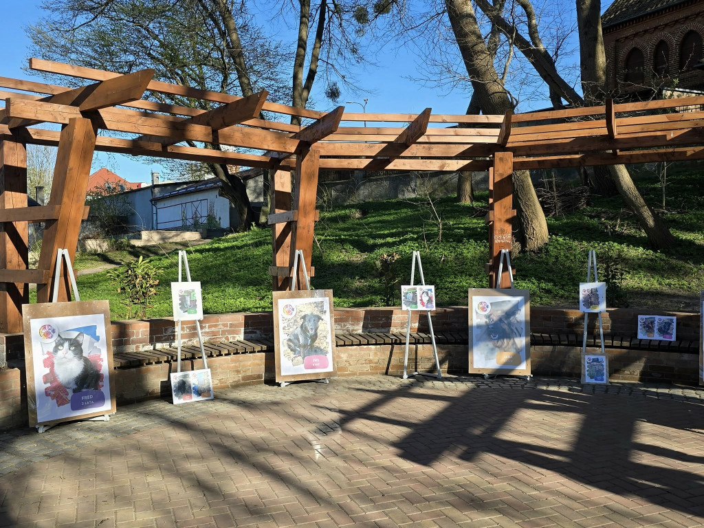 Ostróda uczciła Łukasza Litewkę w Ogrodzie Różanym