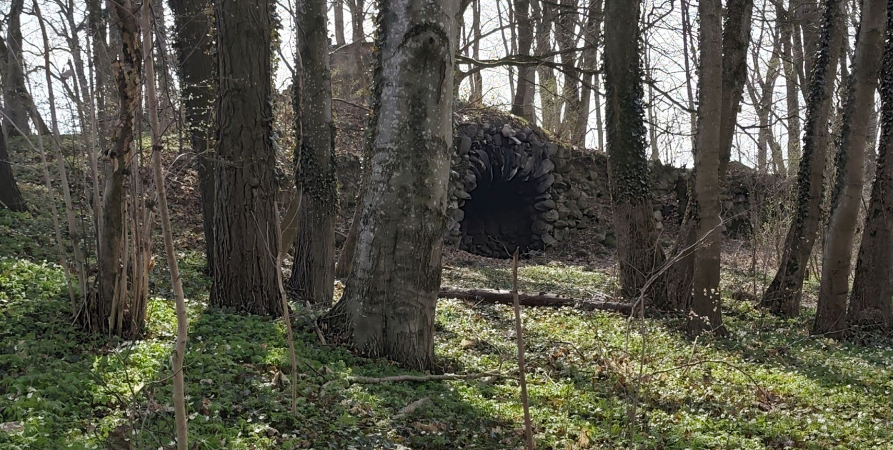 Zapomniana perła pod Ostródą. Park w Dylewie