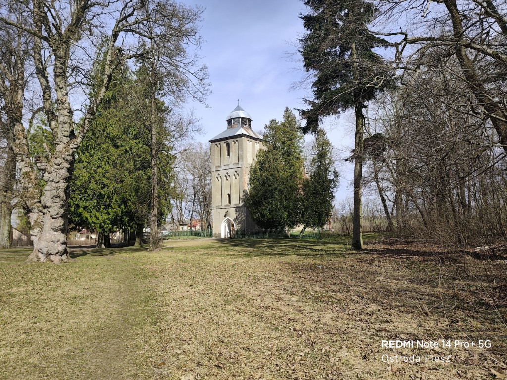 Zapomniana perła pod Ostródą. Park w Dylewie