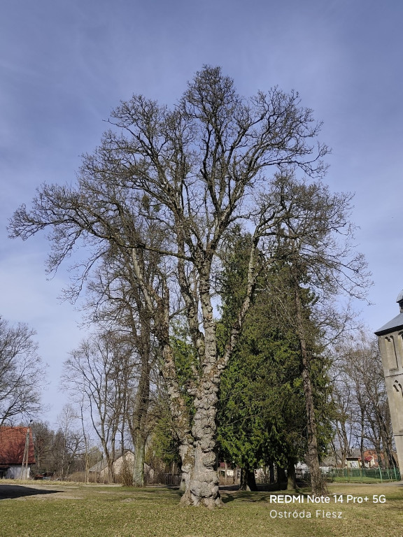 Zapomniana perła pod Ostródą. Park w Dylewie