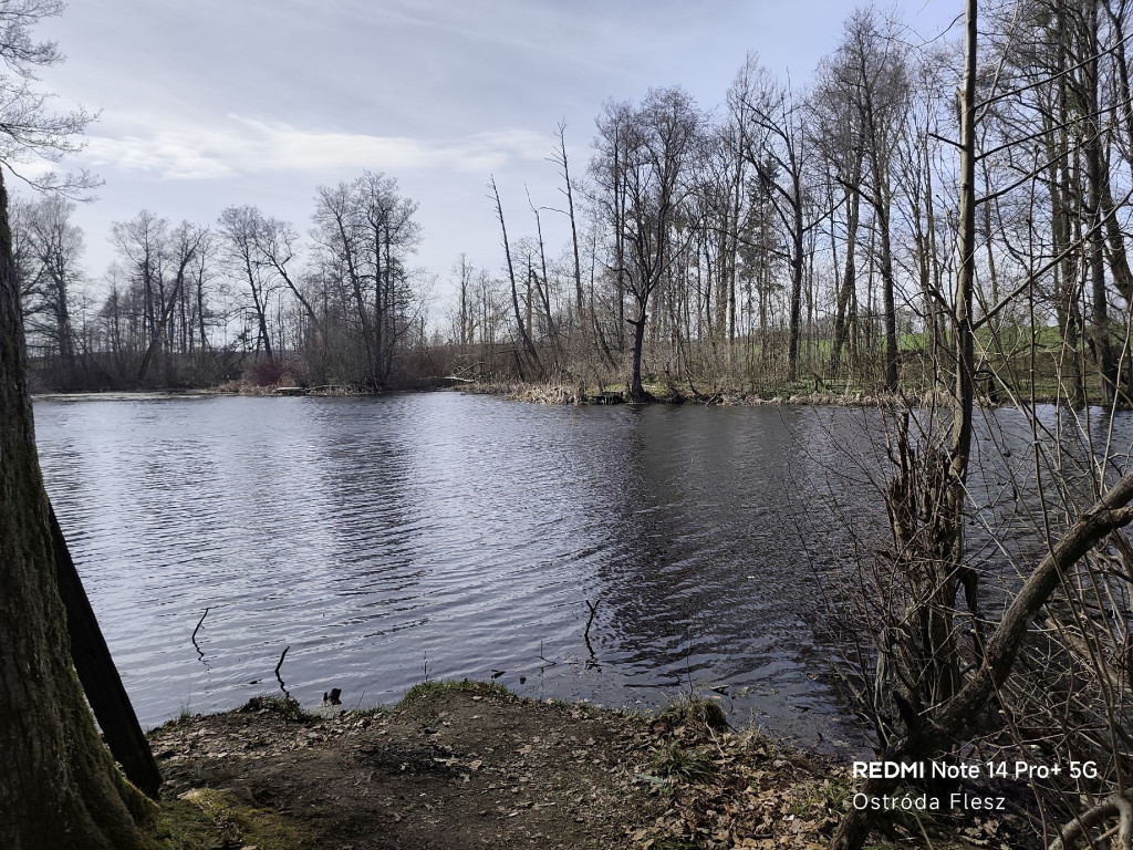 Zapomniana perła pod Ostródą. Park w Dylewie