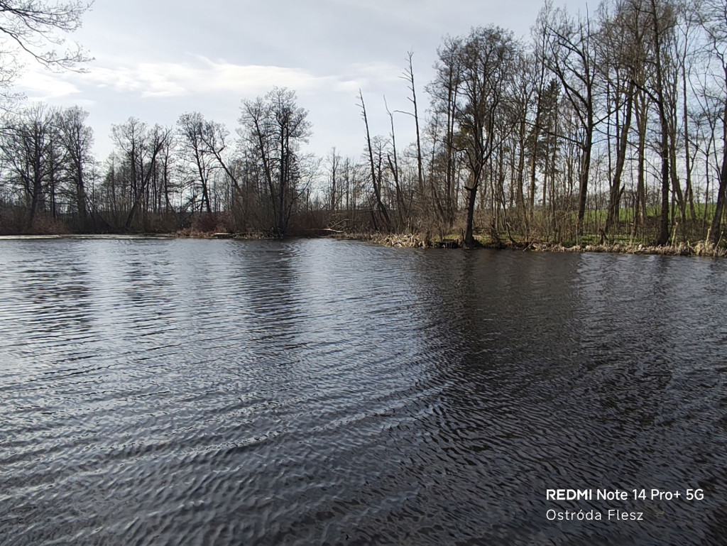 Zapomniana perła pod Ostródą. Park w Dylewie