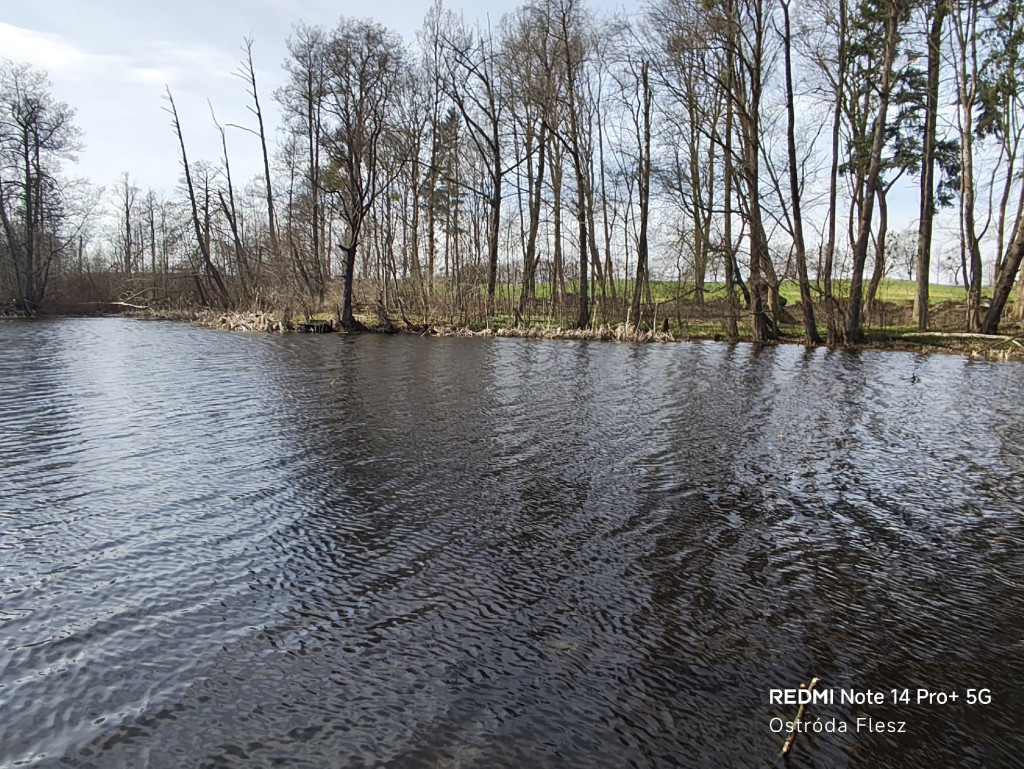 Zapomniana perła pod Ostródą. Park w Dylewie