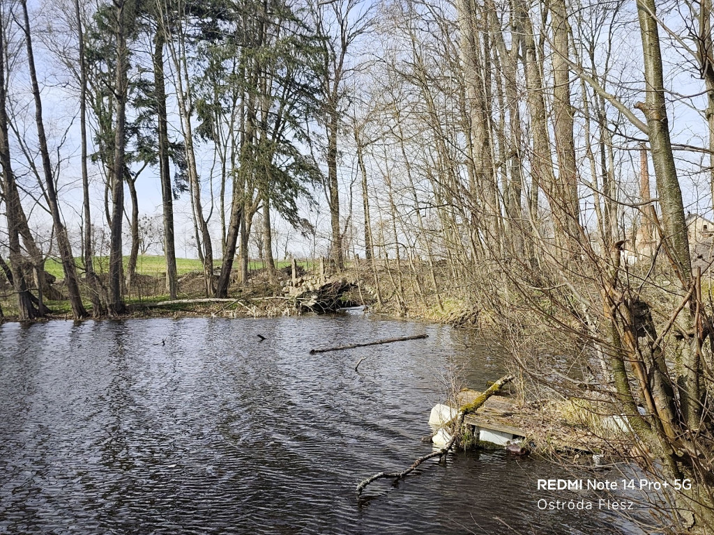 Zapomniana perła pod Ostródą. Park w Dylewie