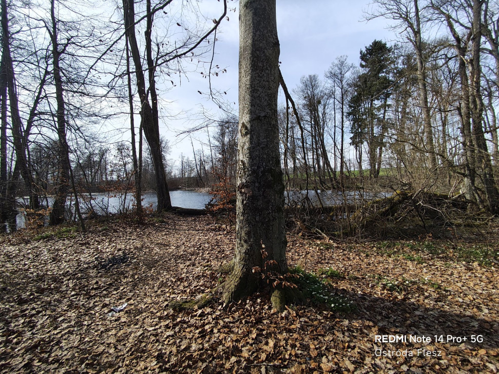 Zapomniana perła pod Ostródą. Park w Dylewie