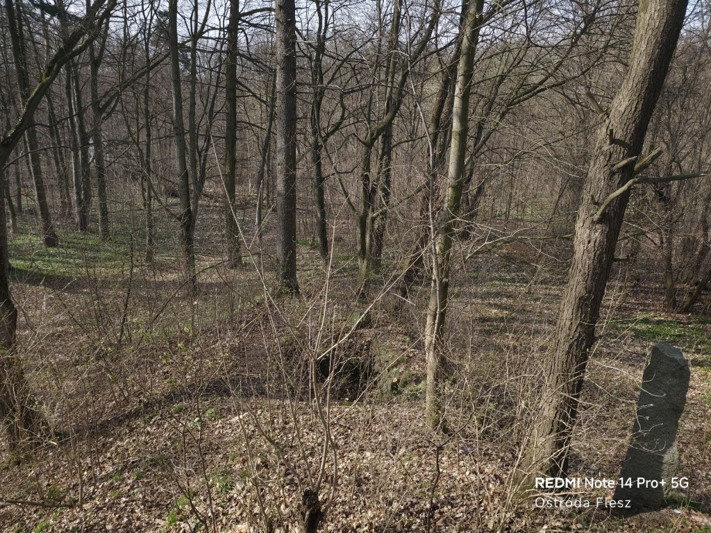 Zapomniana perła pod Ostródą. Park w Dylewie