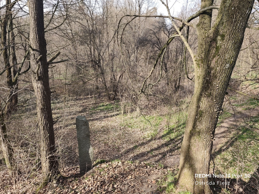 Zapomniana perła pod Ostródą. Park w Dylewie
