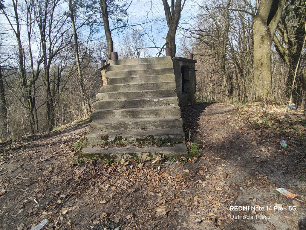 Zapomniana perła pod Ostródą. Park w Dylewie