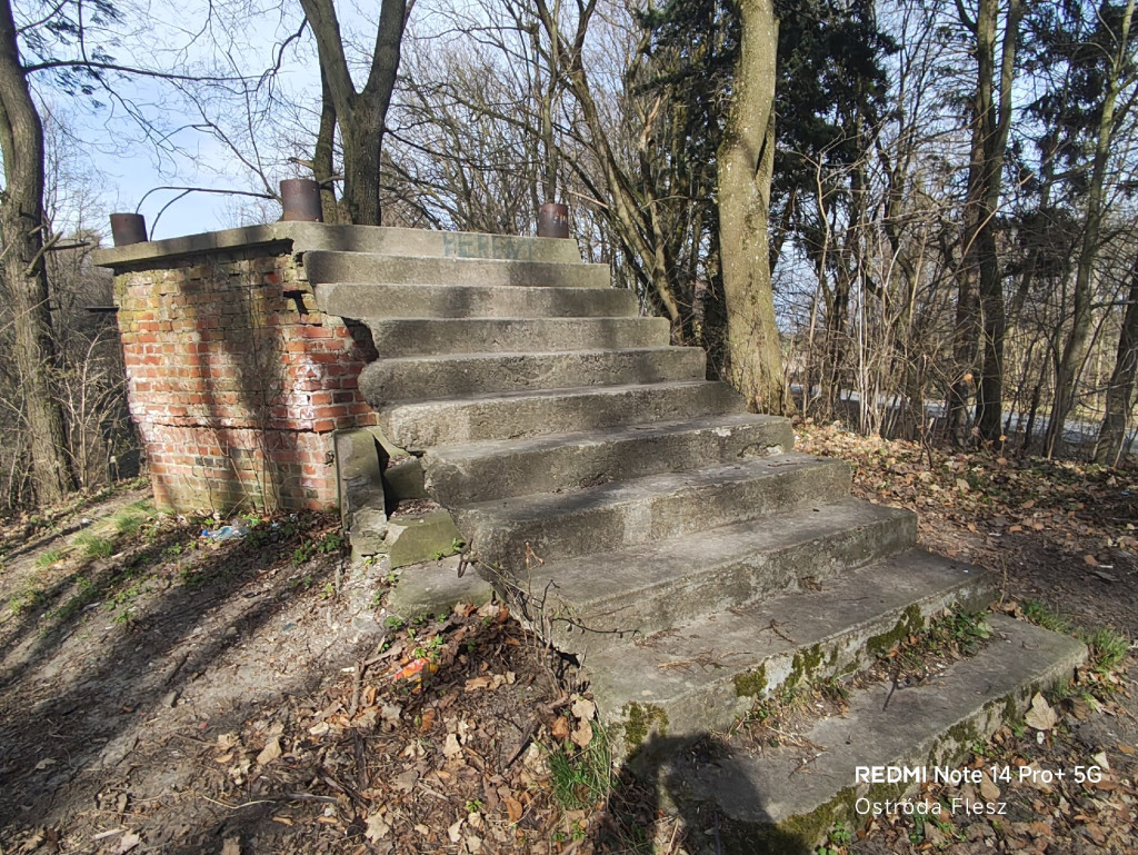 Zapomniana perła pod Ostródą. Park w Dylewie