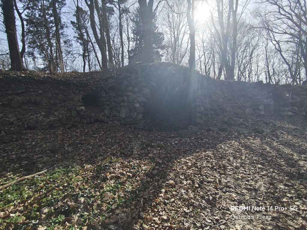 Zapomniana perła pod Ostródą. Park w Dylewie