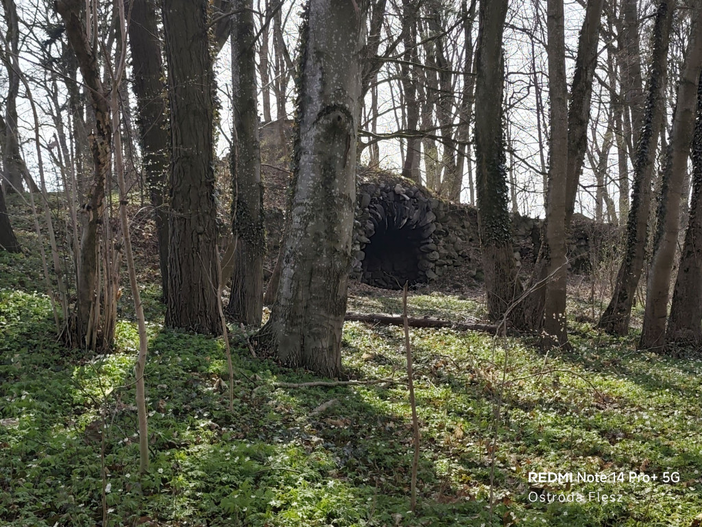 Zapomniana perła pod Ostródą. Park w Dylewie