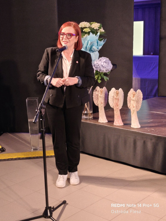 Dzień Działacza Kultury w Ostródzie