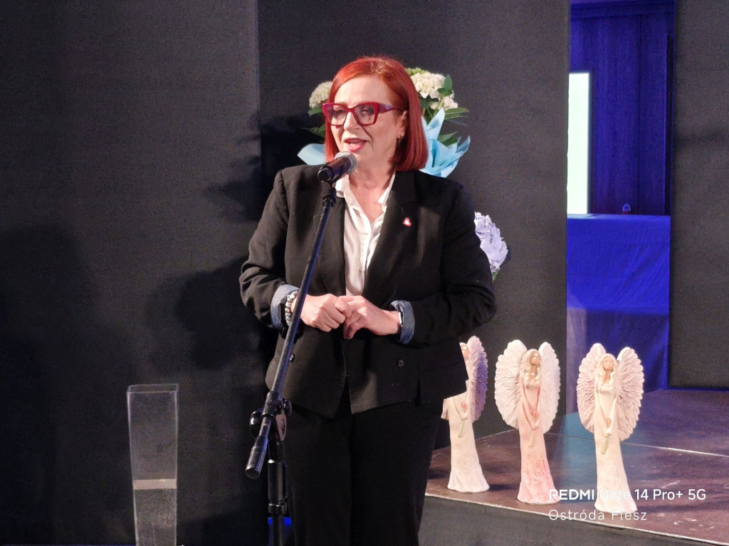 Dzień Działacza Kultury w Ostródzie