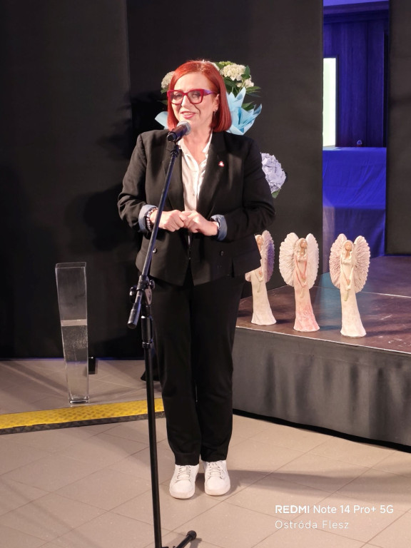 Dzień Działacza Kultury w Ostródzie