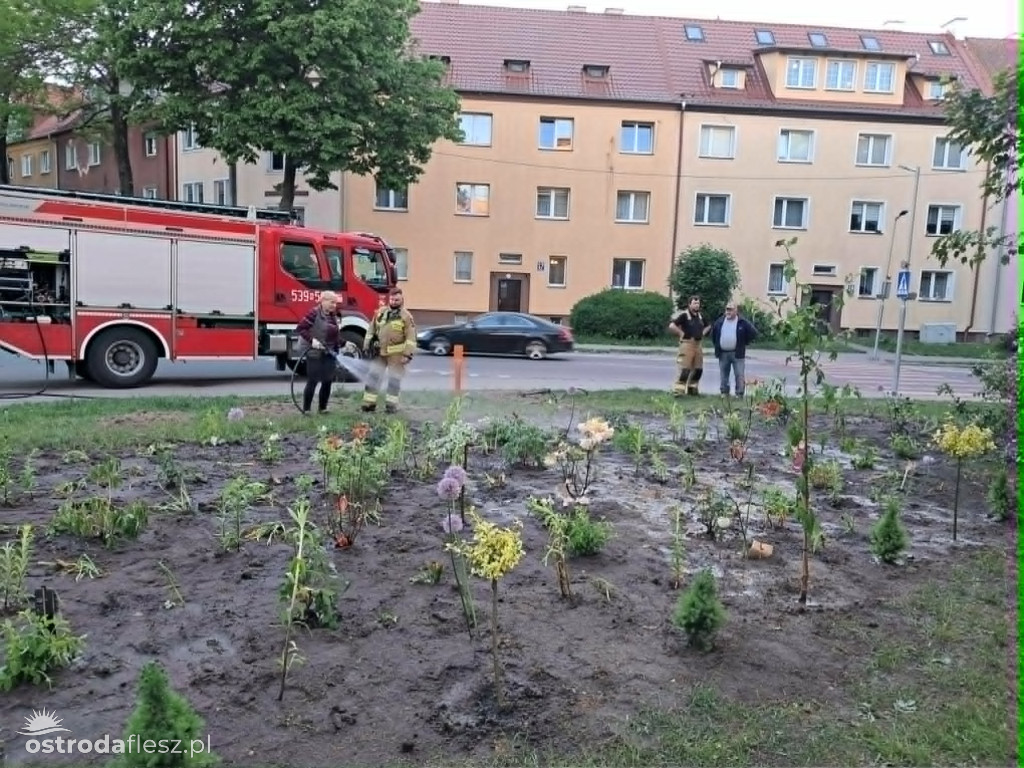 Mieszkańcy wspólnie upiększają osiedle Centrum