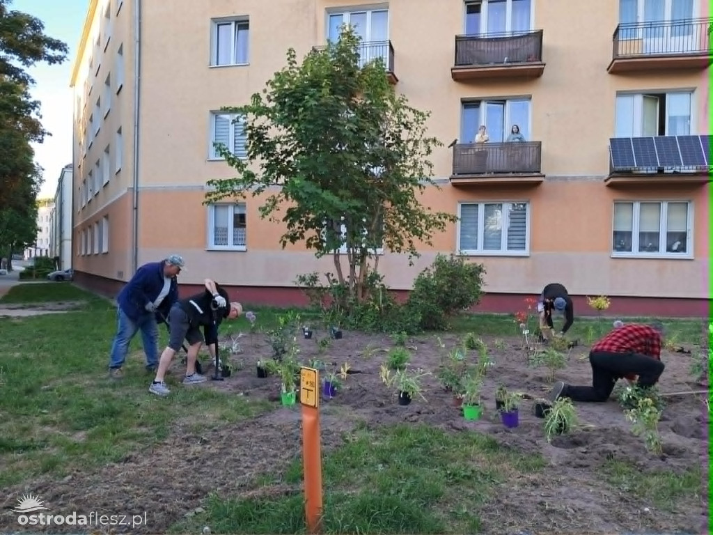 Mieszkańcy wspólnie upiększają osiedle Centrum