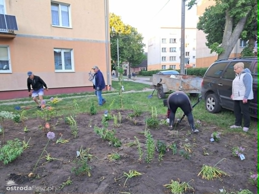 Mieszkańcy wspólnie upiększają osiedle Centrum
