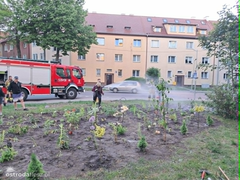 Mieszkańcy wspólnie upiększają osiedle Centrum