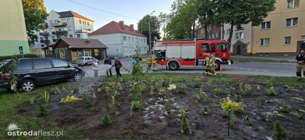 Mieszkańcy wspólnie upiększają osiedle Centrum
