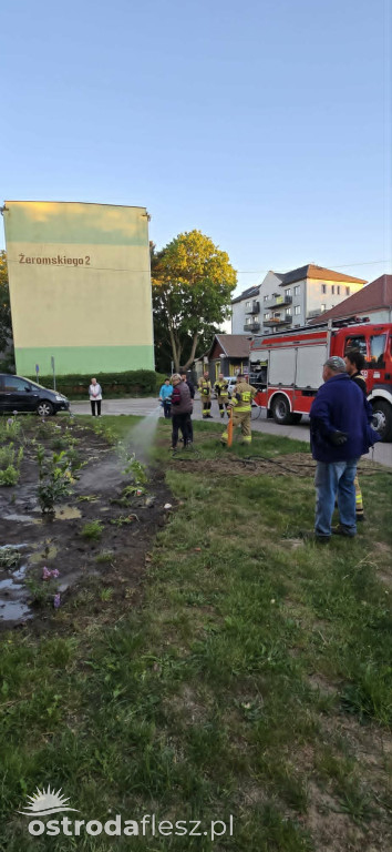 Mieszkańcy wspólnie upiększają osiedle Centrum