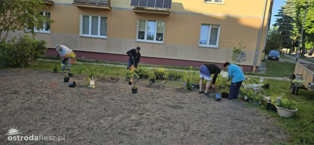 Mieszkańcy wspólnie upiększają osiedle Centrum