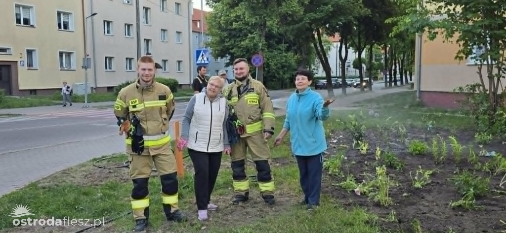 Mieszkańcy wspólnie upiększają osiedle Centrum