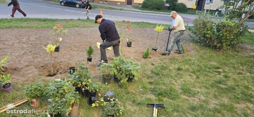 Mieszkańcy wspólnie upiększają osiedle Centrum