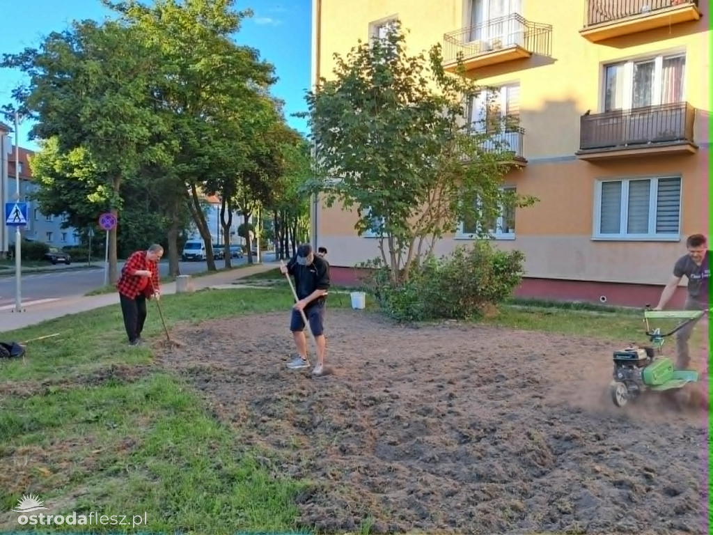 Mieszkańcy wspólnie upiększają osiedle Centrum