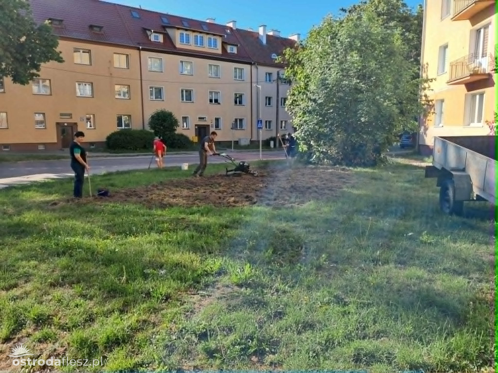 Mieszkańcy wspólnie upiększają osiedle Centrum